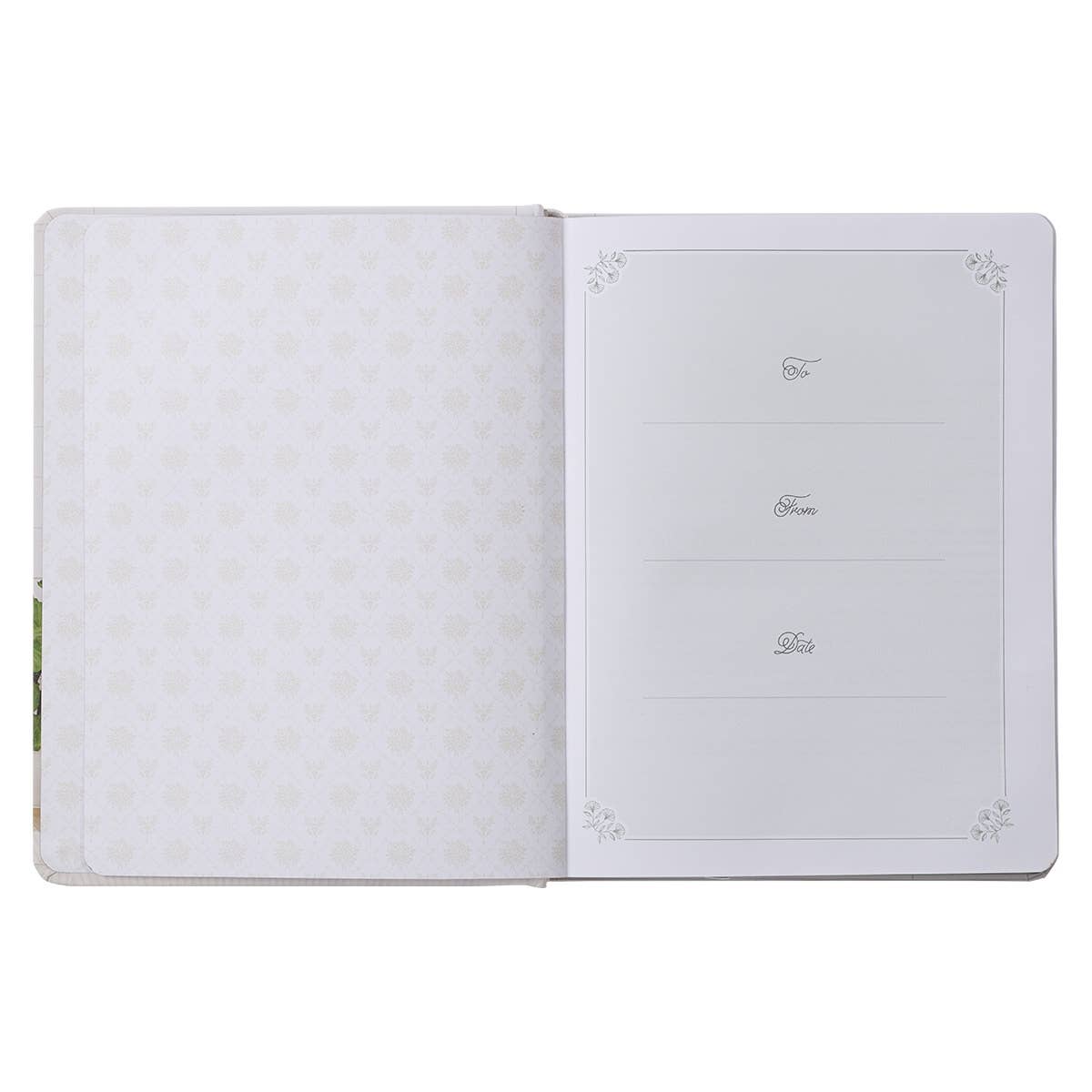 Devotional Daily Hope for a Woman's Heart