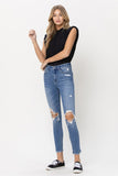 Distressed High Rise Skinny Jeans