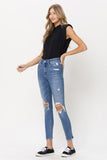Distressed High Rise Skinny Jeans
