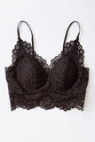 Padded Lace Bralette