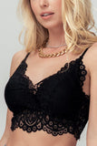 Padded Lace Bralette