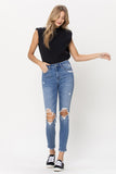 Distressed High Rise Skinny Jeans
